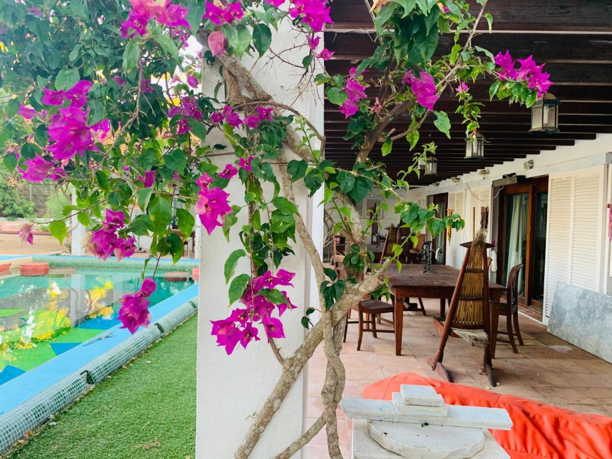 Bed and Breakfast Ibiza Paradise Санта-Еулалія-дель-Ріо Екстер'єр фото